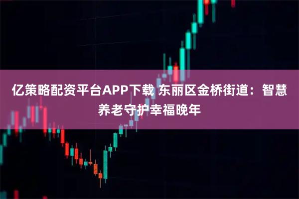 亿策略配资平台APP下载 东丽区金桥街道：智慧养老守护幸福晚年