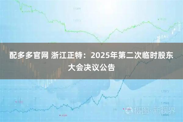 配多多官网 浙江正特：2025年第二次临时股东大会决议公告