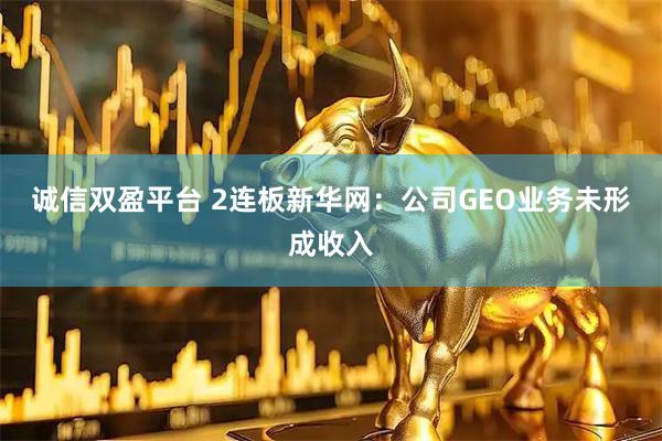 诚信双盈平台 2连板新华网：公司GEO业务未形成收入