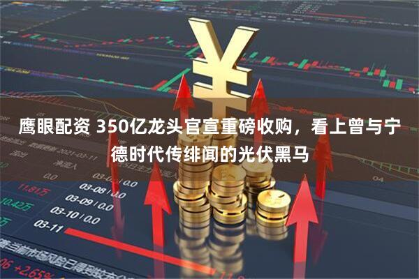 鹰眼配资 350亿龙头官宣重磅收购，看上曾与宁德时代传绯闻的光伏黑马