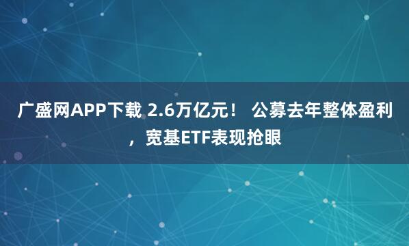 广盛网APP下载 2.6万亿元！ 公募去年整体盈利，宽基ETF表现抢眼